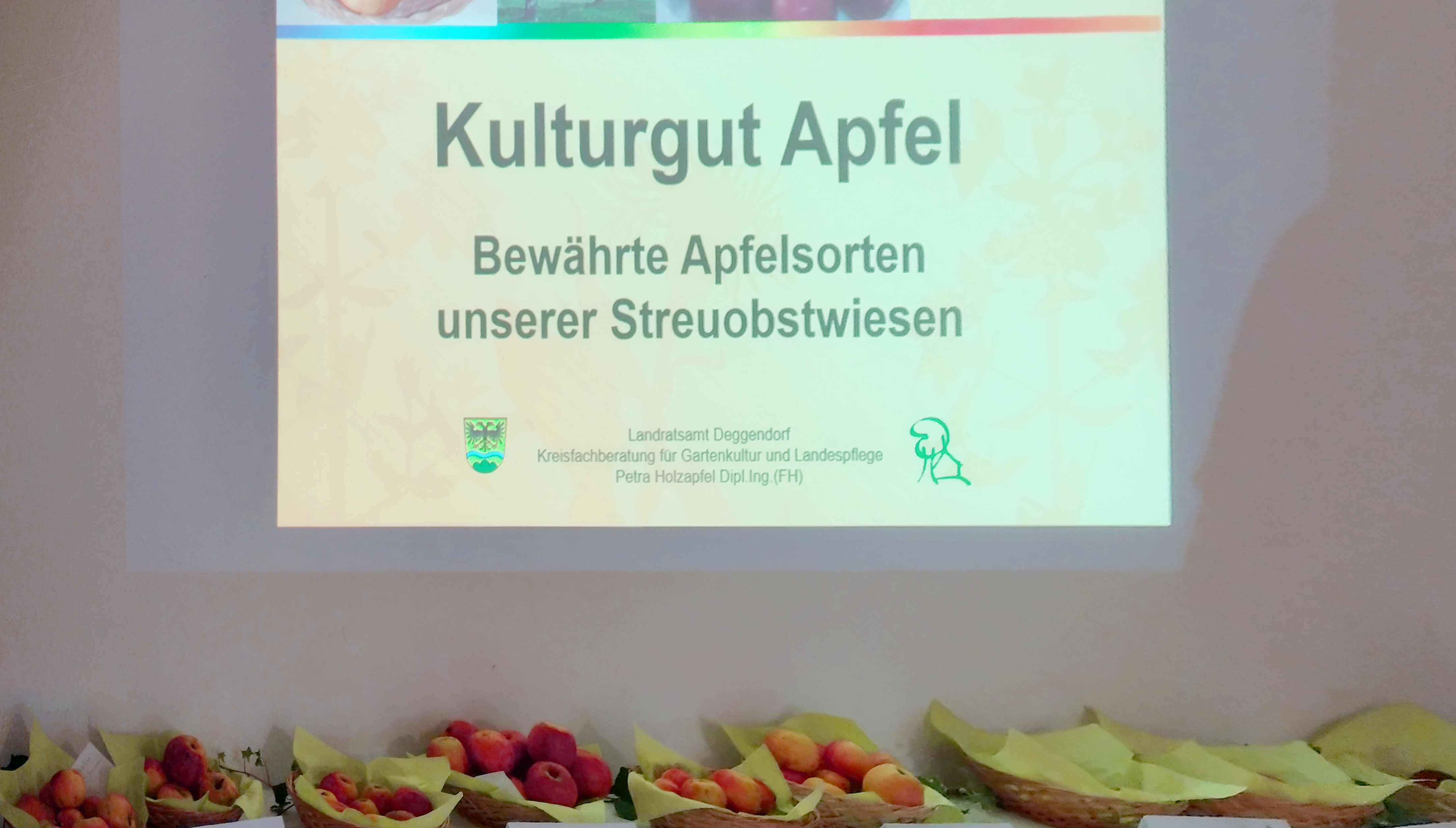 Frau Holzapfel stellte in Ihrem Vortrag „Kulturgut Apfel - Bewährte Sorten unserer Streuobstwiesen“  altbekannte beliebte und neue Sorten vor.